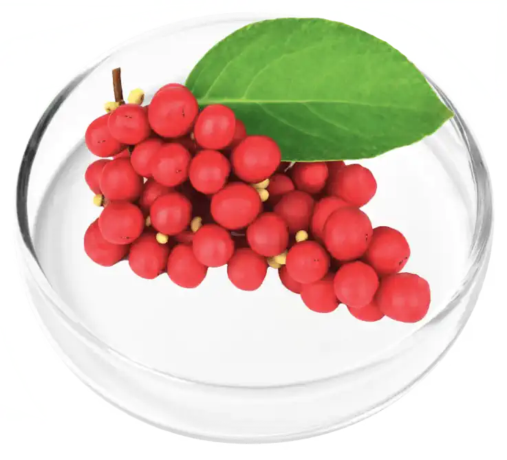 DigestiStart ingredients2